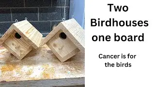 Easy DIY birdhouse with basic tools