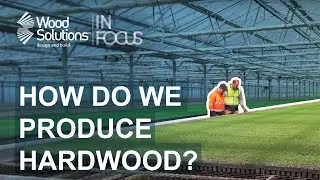How Do We Produce Hardwood?