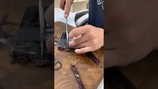 Ты этого точно не пробовал😱 Балык бобра