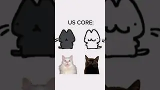 Me and my bestie 24/7!😤🤌🤣 #funnyvideos #bestie #memes #funnycats #blackcats #shorts #catmemes #funny
