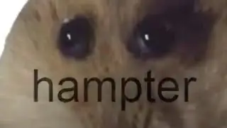 anywhere at the end of call