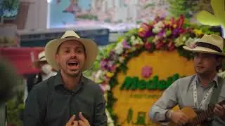 Feria ANATO 2022 Medellin y Antioquia