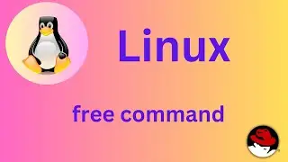 37/50 Basic Linux Commands |  free command Explained 