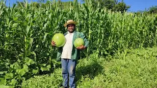 Esto es mas que solo andar en el campo🤠👍