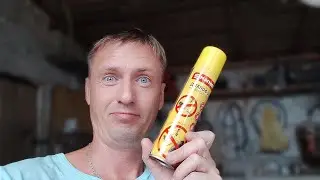 Уничтожаю гнездо и что мне ответили в медицинском центре