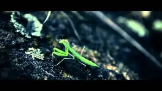 Maria Full Of Rage ( Torture - Thriller shortmovie )