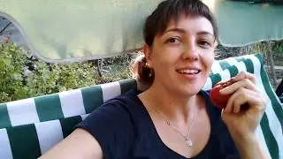 Полное СЫРОЕДЕНИЕ 7-8 день | Чистка ПОМИДОРАМИ или история про помидорку | Что чистят помидоры?