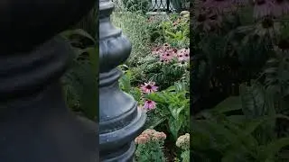 МИЛОТА!