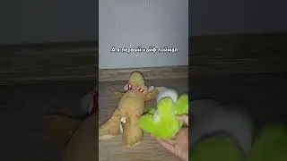 Говорят: они всё ещё лежат. 