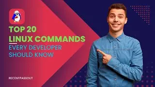 Top 20 Linux Commands Every Developer Should Know