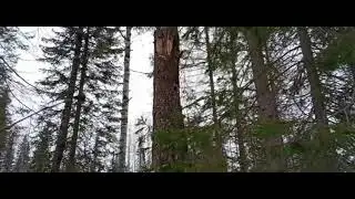 4 ноября 2024 г.