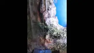 Плюдариум от Аквасервис