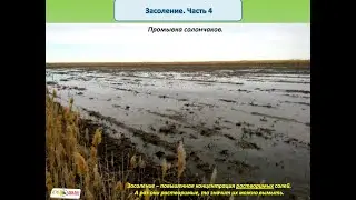 Засоление почвы. Часть 4 