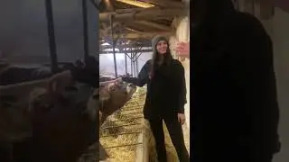 SÜTÇÜ KIZ - Sema ‘’ Kara Çaydanlık ‘’ 