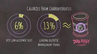Cats and diabetes explained by Dr. Elsey’s Purrfessor Cat™ - cleanprotein™ cat food
