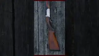 Bringing a Rusty Shotgun back to life