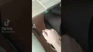 tiktok : rodle.music