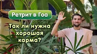 То, что нельзя даже сравнивать с благочестивой деятельностью! 10 оскорблений Святого Имени