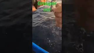 lapu lapu 