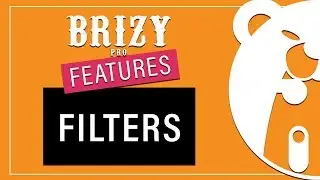 Brizy PRO Feature | Filters