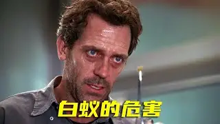 《豪斯医生》男孩每天咳血不止，原来都是白蚁惹的祸！