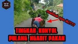 konyol ngakak