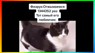 тик ток забыл портфель