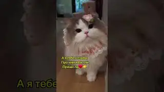 Отзывы на книги деньги