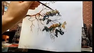 веточка дерева