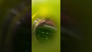 20 мая 2023 г.