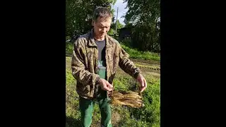 И это все рыбалка ...