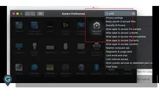 How to give Chrome, WebEx, Zoom access to Microphone on MacOS Mac