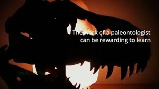 $76,000 Paleontologist Job Salary info and Qualifications Needed