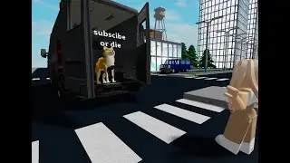 The war crime experience