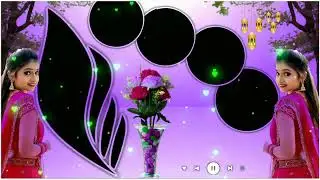 Wedding green screen background frame shaadi.| Shaadi green screen video |green screen video