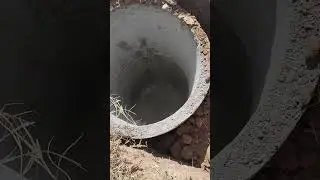 Жаны ноокат "Жумышчу тобуу"