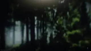 escape from tarkov