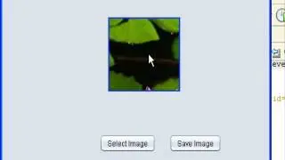 Image Resizing & Compression In Java Part 4