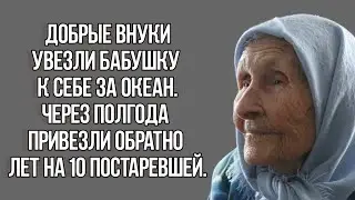 ДОБРЫЕ ВНУКИ УВЕЗЛИ БАБУШКУ ЗА ОКЕАН. ЧЕРЕЗ ПОЛГОДА ПРИВЕЗЛИ ОБРАТНО. Душевные Истории из Жизни.