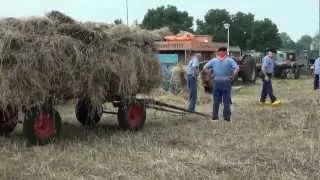 Oogsten (maaien en dorsen enz.) augustus 2012