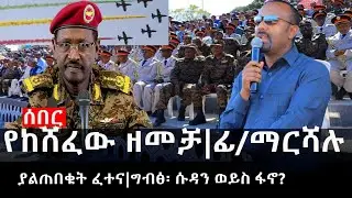 Ethiopia: ሰበር ዜና - የኢትዮታይምስ የዕለቱ ዜና |የከሸፈው ዘመቻ|ፊ/ማርሻሉ ያልጠበቁት ፈተና|ግብፅ፡ ሱዳን ወይስ ፋኖ?