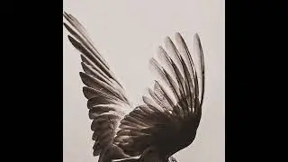 [free] xxxtentacion kanye west type beat 