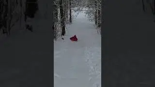 В Смоленском лесу с горок на ватрушках.