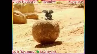 М/ф 