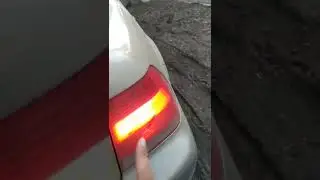 для моих дам😂