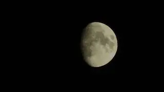 29 ноября 2023 г.
