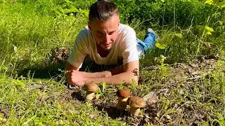 ГРИБНИК СЧАСТЛИВ! БЕЛЫЕ ГРИБЫ И ЛИСИЧКИ ПОШЛИ! Грибы 2022