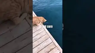 cat core 