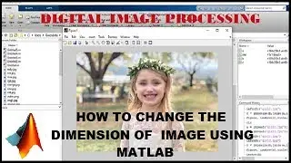 How to Change the Dimension of an image Using MATLAB