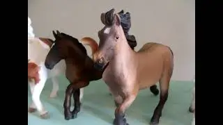 Collecta Model Horse Tour